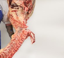 Sirloin and whole Fillet (bone-in) Meat Cut Spec Step 11